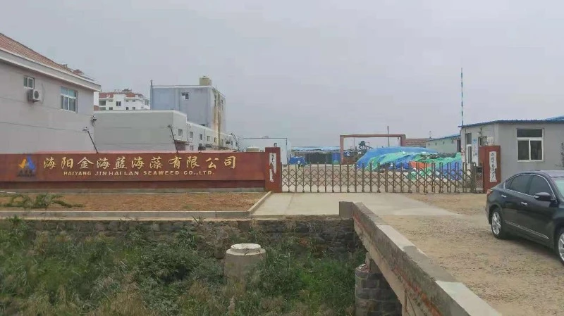 About Our Company